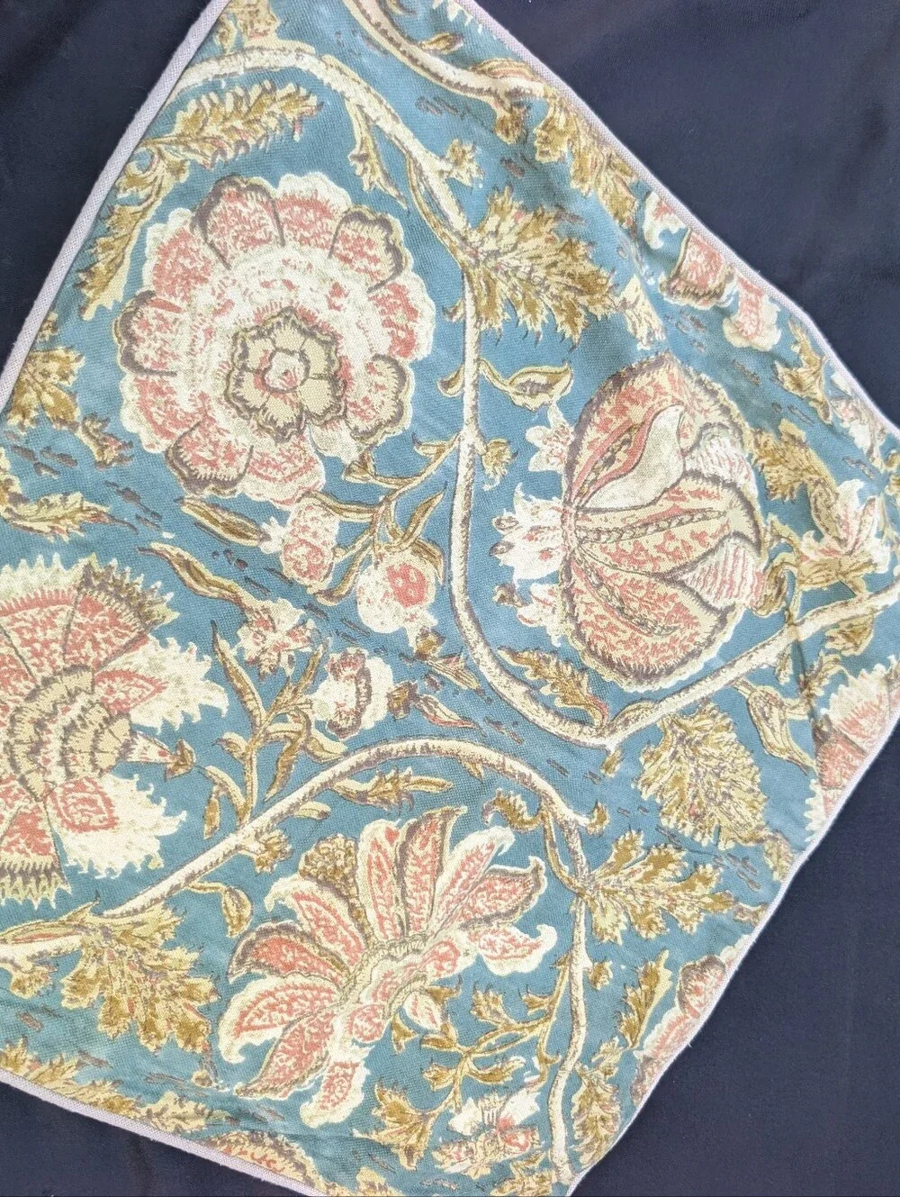 Pottery Barn gorgeous throw